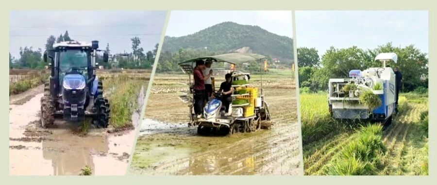 “雙搶”落幕 | 東風(fēng)井關(guān)“耕種收”田間馳騁，跑出現(xiàn)代農(nóng)業(yè)的 “加速度”！
